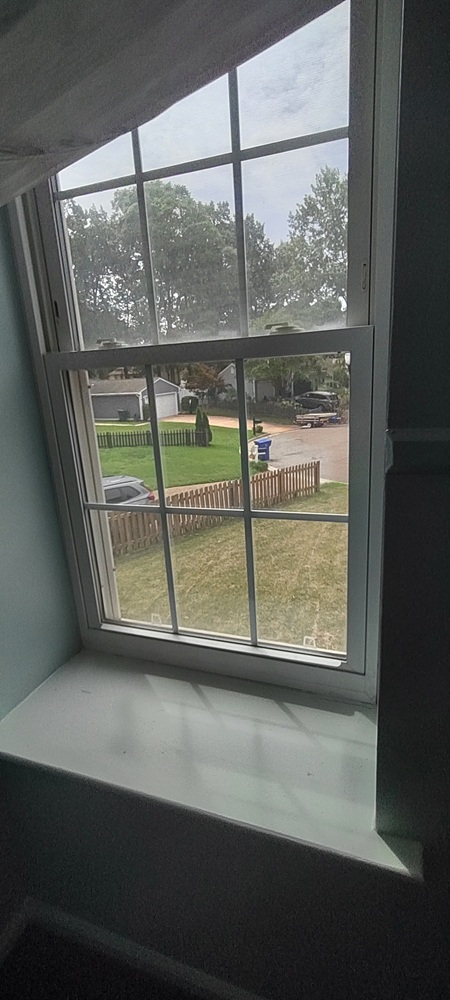 Gallery Photo 39